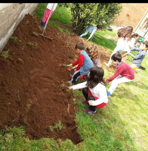 Şehrin içinde ‘Karenin Dışında’ bir hayat - Resim : 1
