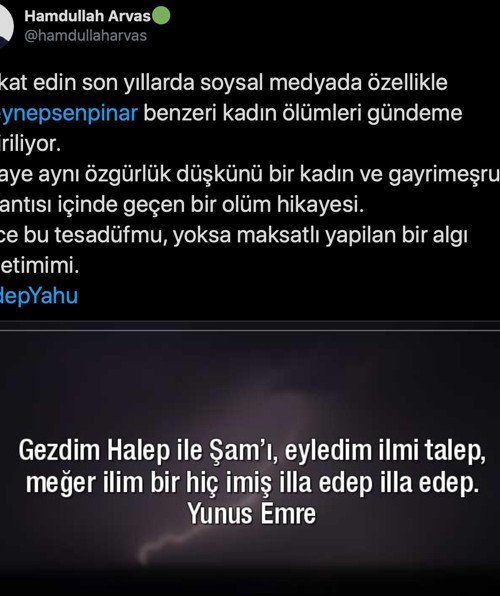 AKP’li meclis üyesi, Şenpınar cinayetini meşrulaştırdı: Özgürlük düşkünü - Resim : 1
