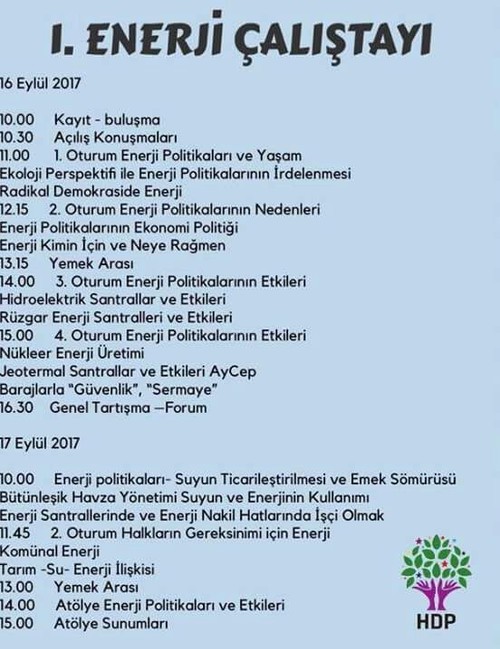 HDP Dersim'de Enerji Çalıştayı düzenliyor - Resim : 1
