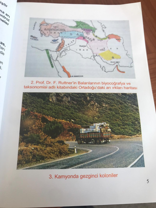 Gezi iddianamesindeki 'bölücü' harita arıcılık haritasıymış - Resim : 2