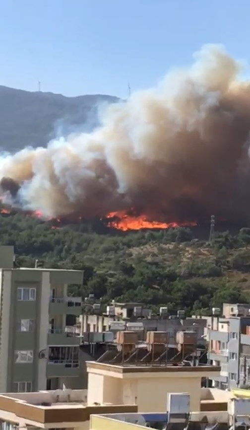 Hatay'da orman yangını: Yerleşim yerleri tehdit altında - Resim : 3