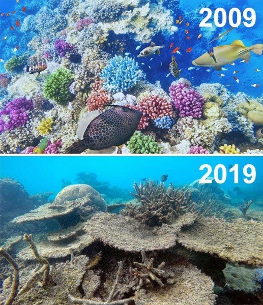 Çevrenin #10yearchallenge fotoğrafları - Resim: 9