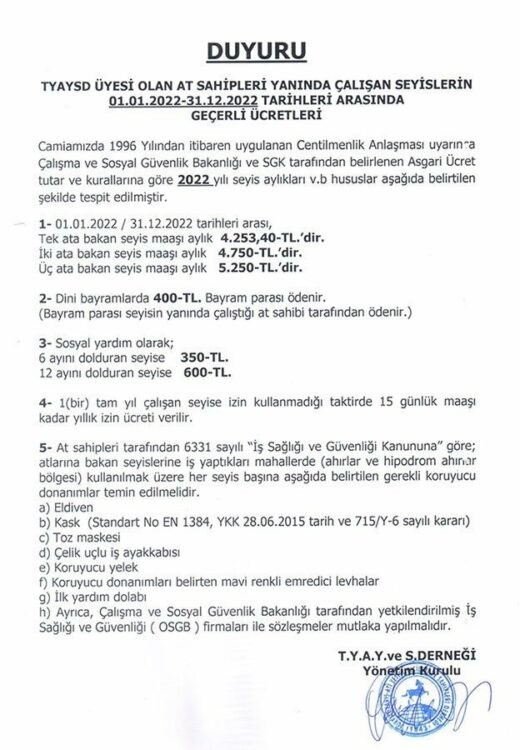Adana'da seyisler greve gitti; yarışlar ertelendi - Resim : 1