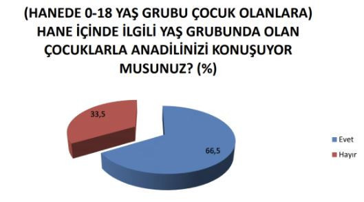 Devlet kurumlarında çalışanların yarıdan fazlası anadilinde konuşmaya çekiniyor - Resim : 16