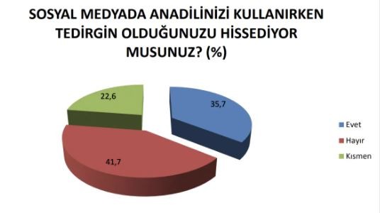 Devlet kurumlarında çalışanların yarıdan fazlası anadilinde konuşmaya çekiniyor - Resim : 8