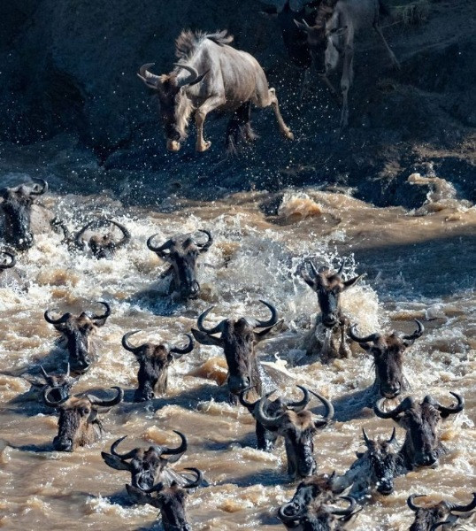 National Geographic Seyahat Fotoğrafları - Resim: 14