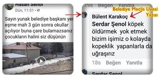 AKP'li Belediye Meclisi Üyesi: Köpek öldürmek bizim işimiz - Resim : 1