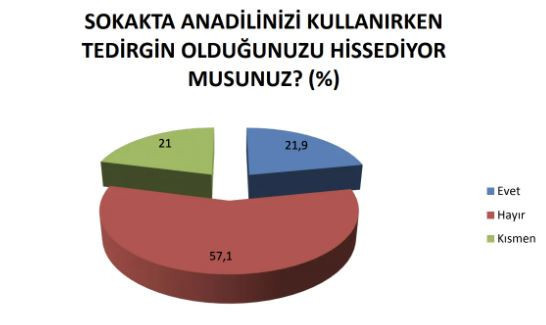Devlet kurumlarında çalışanların yarıdan fazlası anadilinde konuşmaya çekiniyor - Resim : 7