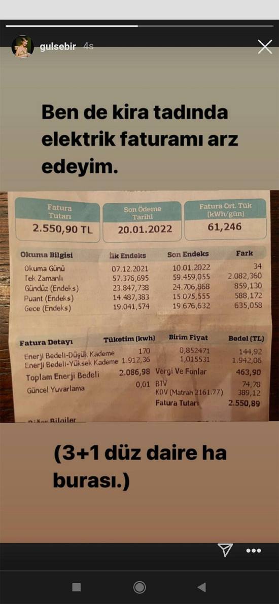 Gülse Birsel 'kira tadında' elektrik faturasını paylaştı - Resim : 1