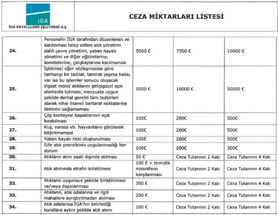 Yerli havalimanında cezalar euro cinsinden - Resim : 1