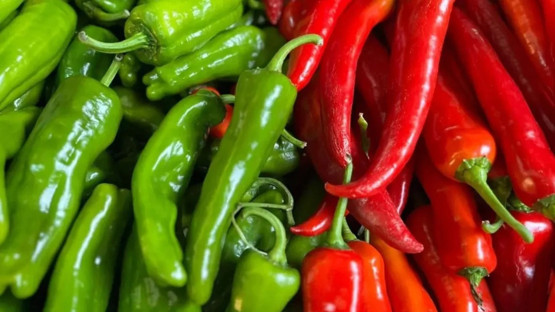 Biber fiyatlarına inceleme: Bir markete 1.8 milyon lira ceza