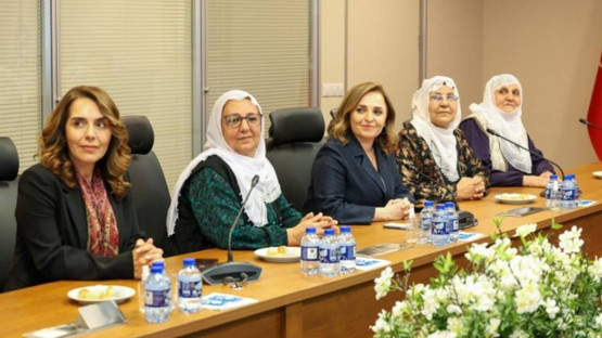 Barış Anneleri ile DEVA Partisi görüşmesi başladı