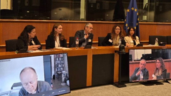 Bağımsız Hukuk Misyonu, AP’de ‘süreç’ raporunu açıkladı: Öcalan'ın koşullarının gözden geçirilmesi tavsiye edildi