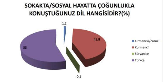Devlet kurumlarında çalışanların yarıdan fazlası anadilinde konuşmaya çekiniyor - Resim : 12