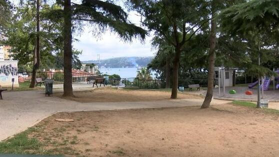 'Boğaz manzarasını bozuyor' diye ağaçları kestiler' iddiası - Resim : 1
