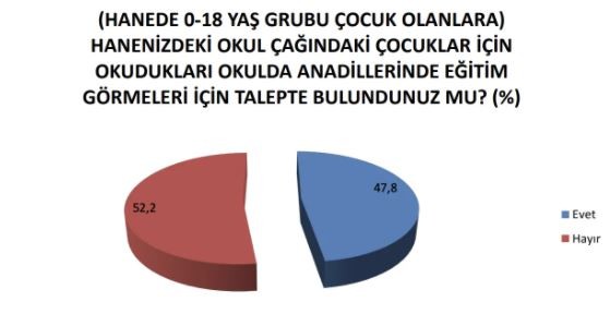 Devlet kurumlarında çalışanların yarıdan fazlası anadilinde konuşmaya çekiniyor - Resim : 18