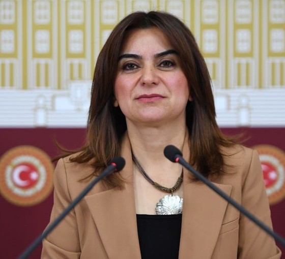 Gülistan Kılıç Koçyiğit'ten hükümete 'İmralı' çağrısı: Sadece gidiş gelişlerle bu iş yürümez