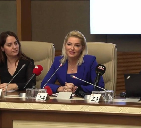 Meclis'te Zahide Yetiş tepkisi: CHP'li vekiller katılmadı, DEM Partili vekiller komisyonu terk etti