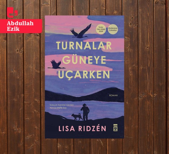 Lisa Ridzen, Turnalar Güneye Uçarken