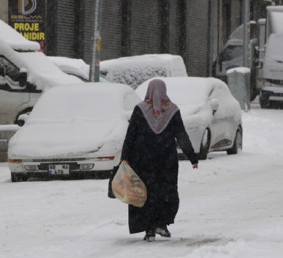 Van'da 560 yerleşim yeri ulaşıma kapandı