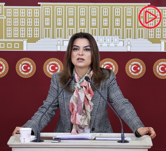 Koçyiğit: İmralı Heyeti birkaç gün içinde Öcalan'la görüşecek