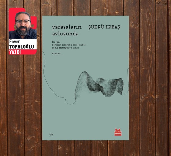 Şükrü Erbaş: Yarasaların Avlusunda