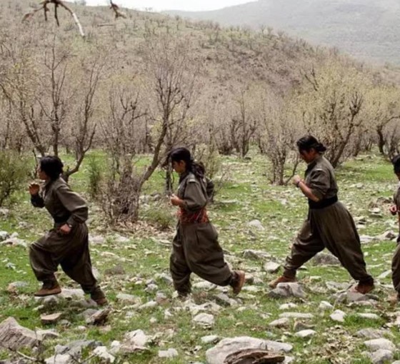 PJAK Eş Genel Başkanı Kerimi: İran-İsrail savaşının tarafı değiliz, Türkiye'deki süreci destekliyoruz