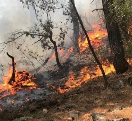 Antalya'da iki bölgede orman yangını