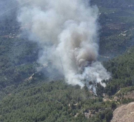 Sakarya ve Manisa'daki orman yangınlarında 17 gözaltı
