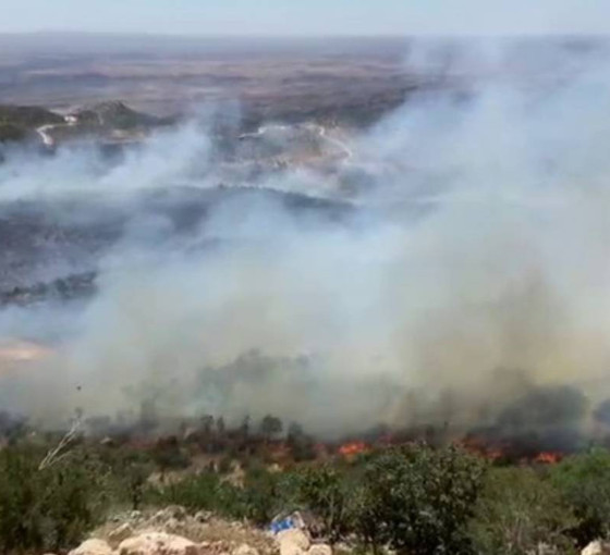 Mardin ve Şırnak'ta orman yangını