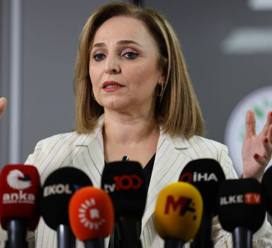 DEM Parti Sözcüsü Doğan: Yasal düzenlemeler için çalışma yapılmalı