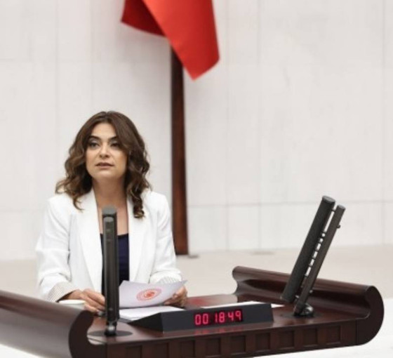 Meclis'te Gazze toplantısı... DEM Partili Koçyiğit: Filistin sorunu bir sömürgecilik sorunudur