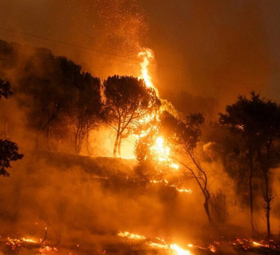 Ormanları yakanları biliyorum (1)