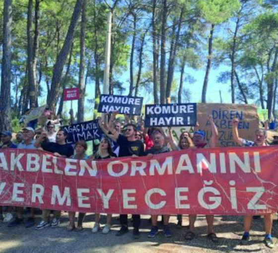 Akbelen'e sabah baskını: Zeytin ağaçları sökülüyor, köylüler gözaltına alındı