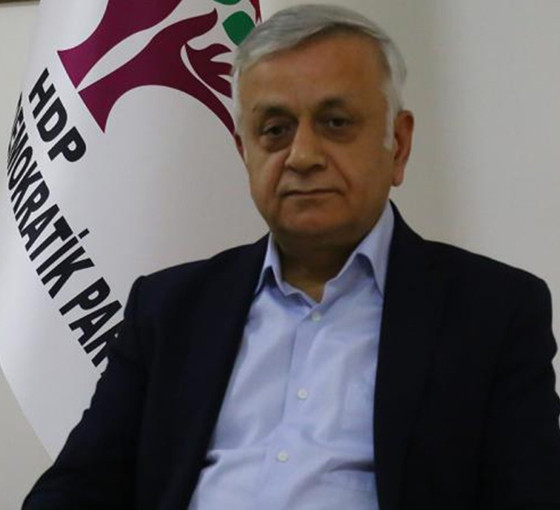 Doğan Erbaş: Entegrasyon çözümün formülüdür, devleti de değiştirecektir