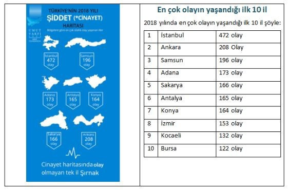 Şiddetin önlenemeyen yükselişi: Türkiye'nin silahlanma haritası - Resim : 2