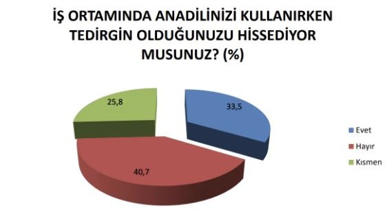 Devlet kurumlarında çalışanların yarıdan fazlası anadilinde konuşmaya çekiniyor - Resim : 6