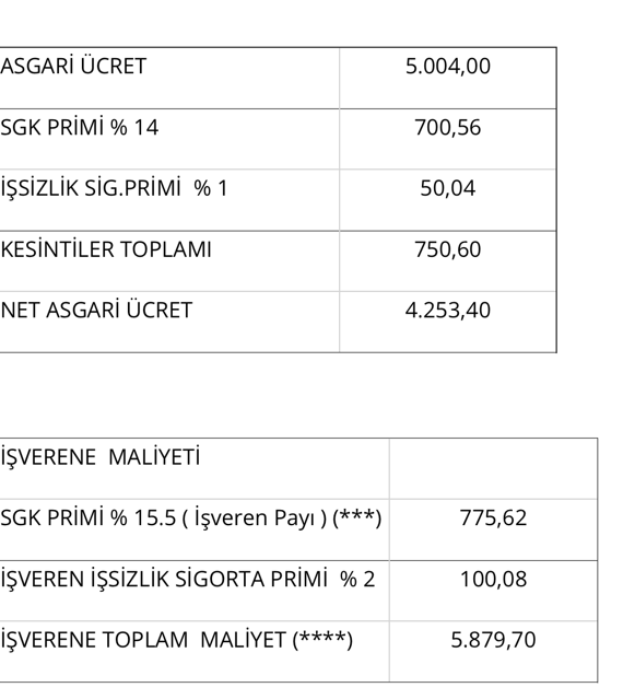 Asgari ücretin işverene maliyeti ne kadar olacak? - Resim : 1