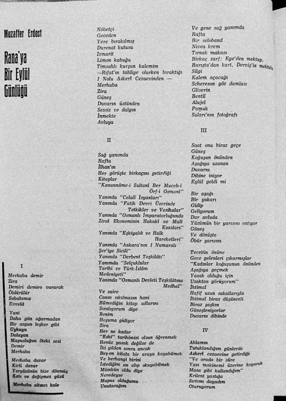 Havadaki güvercinler - Resim : 1
