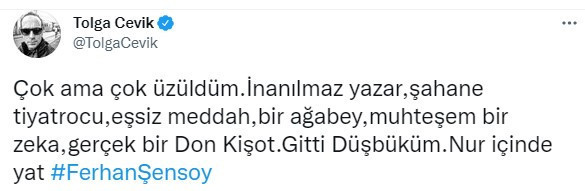 Çok sayıda isimden Ferhan Şensoy mesajı: Dik duruşunla hep ışık oldun - Resim : 10