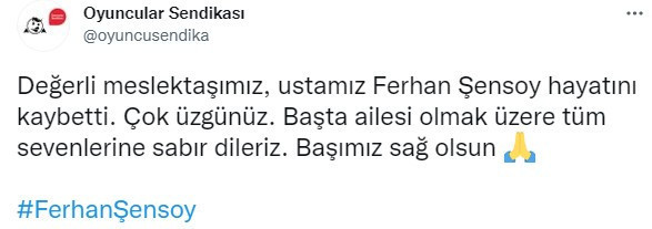 Çok sayıda isimden Ferhan Şensoy mesajı: Dik duruşunla hep ışık oldun - Resim : 9