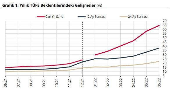 Merkez Bankası, dolar ve enflasyon beklentisini yükseltti - Resim : 1