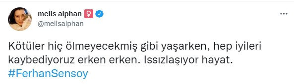Çok sayıda isimden Ferhan Şensoy mesajı: Dik duruşunla hep ışık oldun - Resim : 17