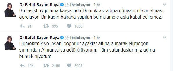 Sınırdışı edilen Bakan Kaya dönüyor - Resim : 1