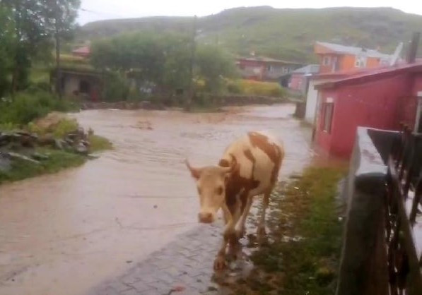 Ardahan'da sel: Birçok ev su altında kaldı - Resim : 3