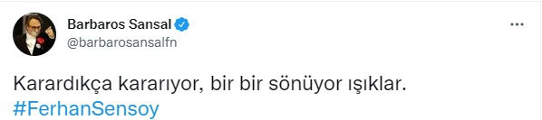 Çok sayıda isimden Ferhan Şensoy mesajı: Dik duruşunla hep ışık oldun - Resim : 13