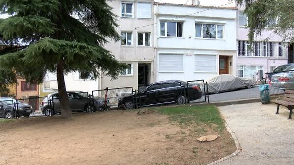 'Boğaz manzarasını bozuyor' diye ağaçları kestiler' iddiası - Resim : 3