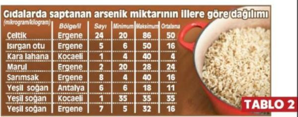 Sudan tarım ilacı, sebzelerden arsenik çıktı - Resim : 4