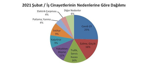 Şubat ayında en fazla iş cinayeti sağlık sektöründe gerçekleşti - Resim : 1