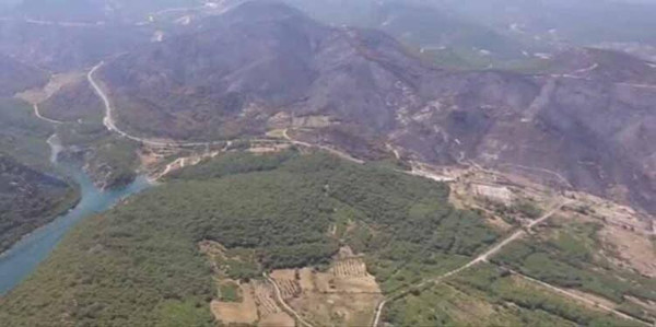 İzmir'de 5 yıl önce 12 bin hektar ormanın yandığı alan yeşillendi - Resim : 1